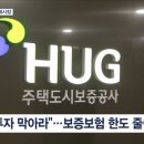 "전세보험 갱신하려면 1억 낮춰야" 전세보증보험발 임대인 원금상환 시작? 이미지