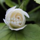 화사한날 이미지