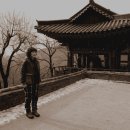 오리궁뎅이 이미지