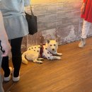 담양대형카페 (베이트) : 예쁜 디저트에 재방문! 내돈내산 후기