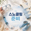 인피아 | 스노클링 장비 처음 살 때 보는 기준｜마스크·스노클·구명조끼