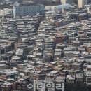 (유)대지개발 이미지