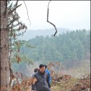 이우캠핑장 이미지