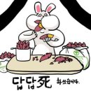 별 경매장