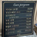 에스라인.핏 이미지
