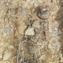 문화 비상-1호 이미지