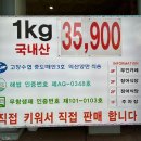 하얀집 풍천장어 | [구월동 맛집] 인천 구월동 맛집 / 천년풍천장어 구월점 / 풍천장어 맛집 내돈내산 방문 후기