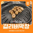 걸리버막창 동대구역점 이미지