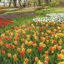 용비쉼터 이미지