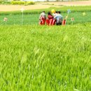 농업회사법인 연호 주식회사 이미지