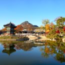 홀로 떠난 경복궁의 정취 이미지