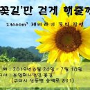 구미지역 축제 이미지