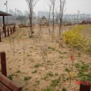 무궁화동산 화장실 Daum카페