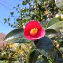 개인택시 복지 제 2충전소 | 법망에 걸린 서울 개인택시 조합과 복지회!