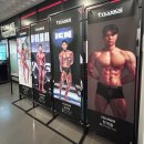 팀키스짐 가능점 | 원주 헬스장 추천 무실동 24시 헬스장 팀키스짐