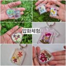 도봉2동 공립 작은도서관 이미지