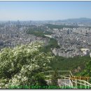 까치산근린공원 이미지
