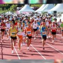 태평양카독크 이미지