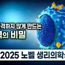 면역세포만 조절해도 이 병들이 낫는다고? 🧬 2025 노벨상! 면역 조절로 치료 가능한 병들 | 자가면역질환 | 지식채널e 이미지