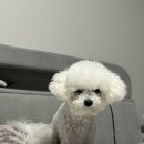 유달먹거리타운 이미지