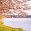 은파호수공원 9-9 이미지