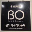 미라크리닝 | [천안악기수리전문점] 최악의 호른 피스톤, 곰팡이 그득그득 크리닝 후기