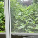 당곡 경로당 이미지