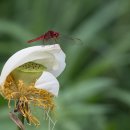 판암동159 이미지