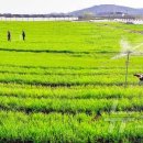 미라농장 이미지