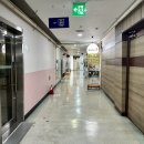김정애피부관리 | 얼굴 비대칭 교정 윤곽관리 두골비 전문점 에스테틱연 목동점 후기