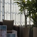 진심담은치과의원 이미지