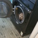 2209_윤빵왕 제탁구