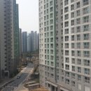 삼성 디지털 프라자 앞 횡단보도 이미지