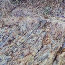 지금여기(now&here) 이미지