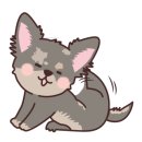 컨트리애견 이미지