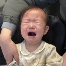 마산회원구 ⓒ-26 | 돌준맘 돌준비 ⑥｜마산 힐스카이컨벤션 릿지2룸 돌잔치 당일 후기 (feat. 다연한복)