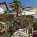 주식회사 펀앤쇼핑 | 혼자 치앙마이 일주일여행 ep5 (쿤캐쥬스바, 펀포레스트, So Sood, 라야헤리티지, 페이퍼스푼, 신더앤...