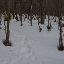 애향목장 이미지