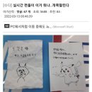 성대카 이미지