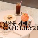 릴리212 이미지