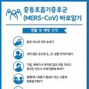 정치과 네이버블로그