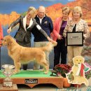 굿타임켄넬 이미지