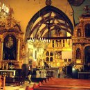 현대기능 이미지