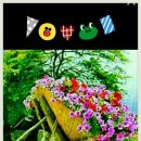 신망애재활원 이미지