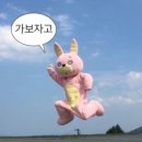 비아헤 에스테틱
