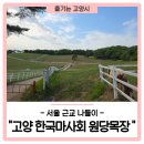 한국마사회제주경주마육성목장 | 서울 근교 나들이, 고양 한국마사회 '원당목장'
