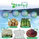 동희농장 네이버블로그