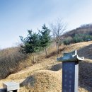 정태진 묘 이미지