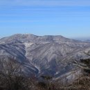 유일사 이미지