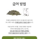 헤이뭉치 | [협찬] 뭉치왕국 버니티모시 후기